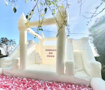 Inflatables Bouncy Castle Rental Fresno