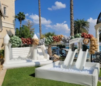 Ball Pit And Slide Fresco