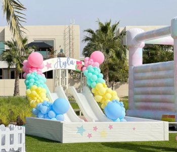 Ball Pit And Slide Fresco