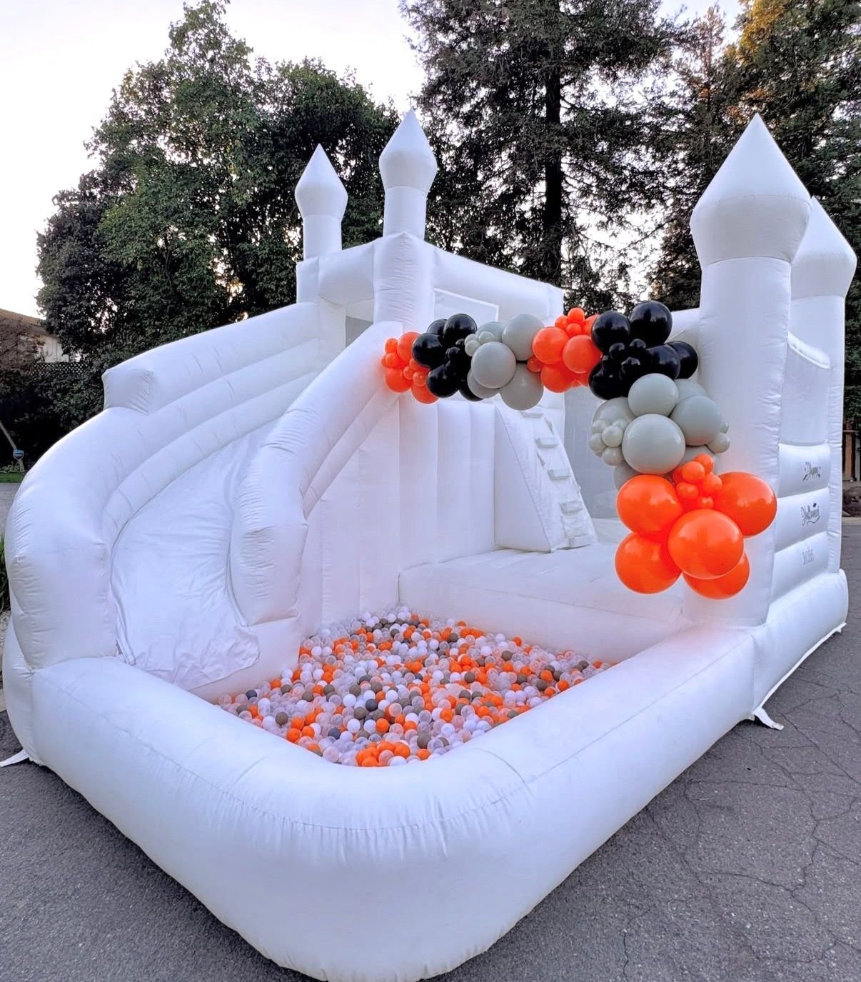 WhatsApp Image 2026-01-31 at 2.50.42 AM WhatsApp Image 2026-01-31 at 2.50.42 AM